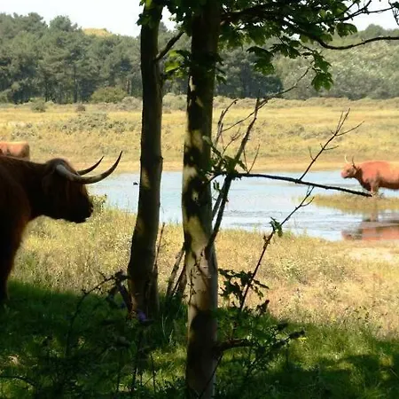Daire La Tulipe Egmond aan den Hoef
